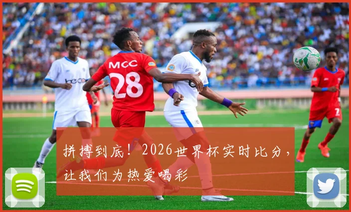 拼搏到底!2026世界杯实时比分,让我们为热爱喝彩
